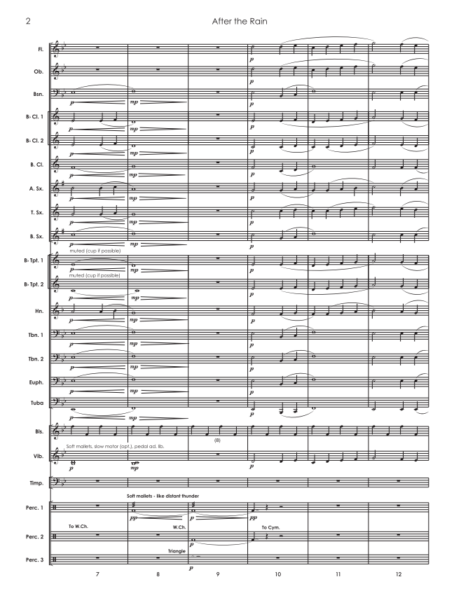Randall Standridge Music Grade 1 - After The Rain
