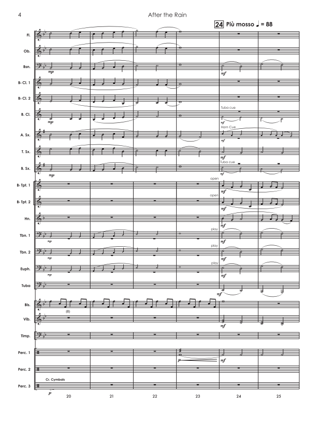 Randall Standridge Music Grade 1 - After The Rain