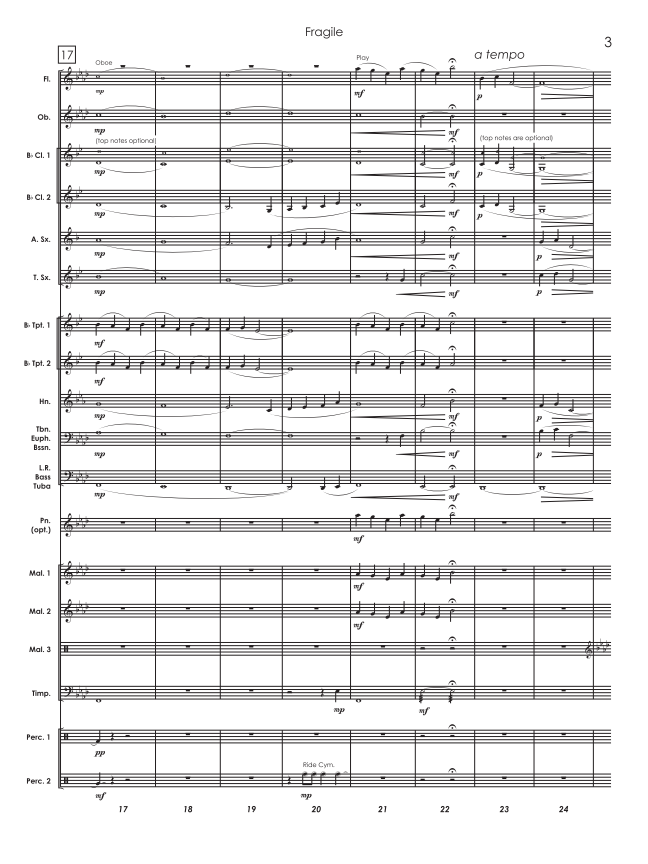 Randall Standridge Music Grade 2 - Fragile