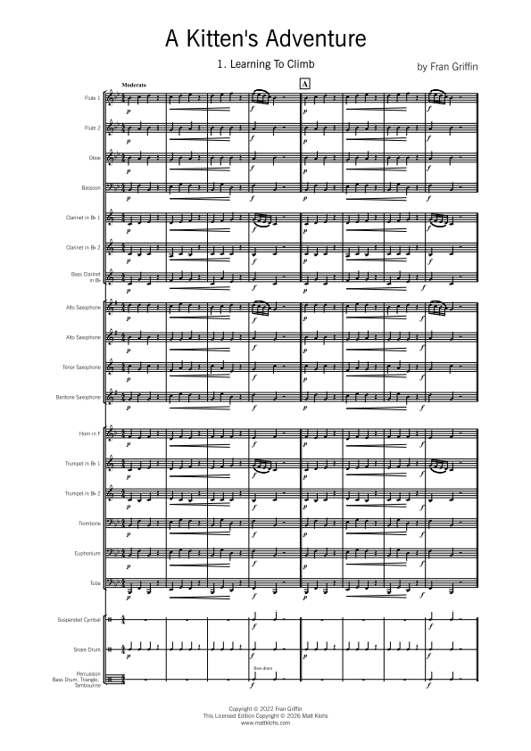 Grade 2 - A Kitten's Adventure