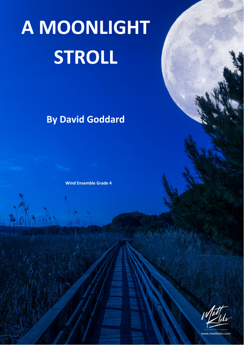 Grade 4 - A Moonlight Stroll