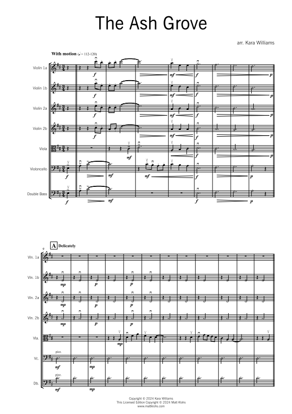 String Orchestra - Intermediate - The Ash Grove