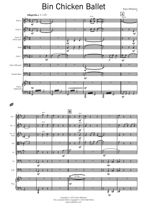 String Orchestra - Intermediate - Bin Chicken Ballet