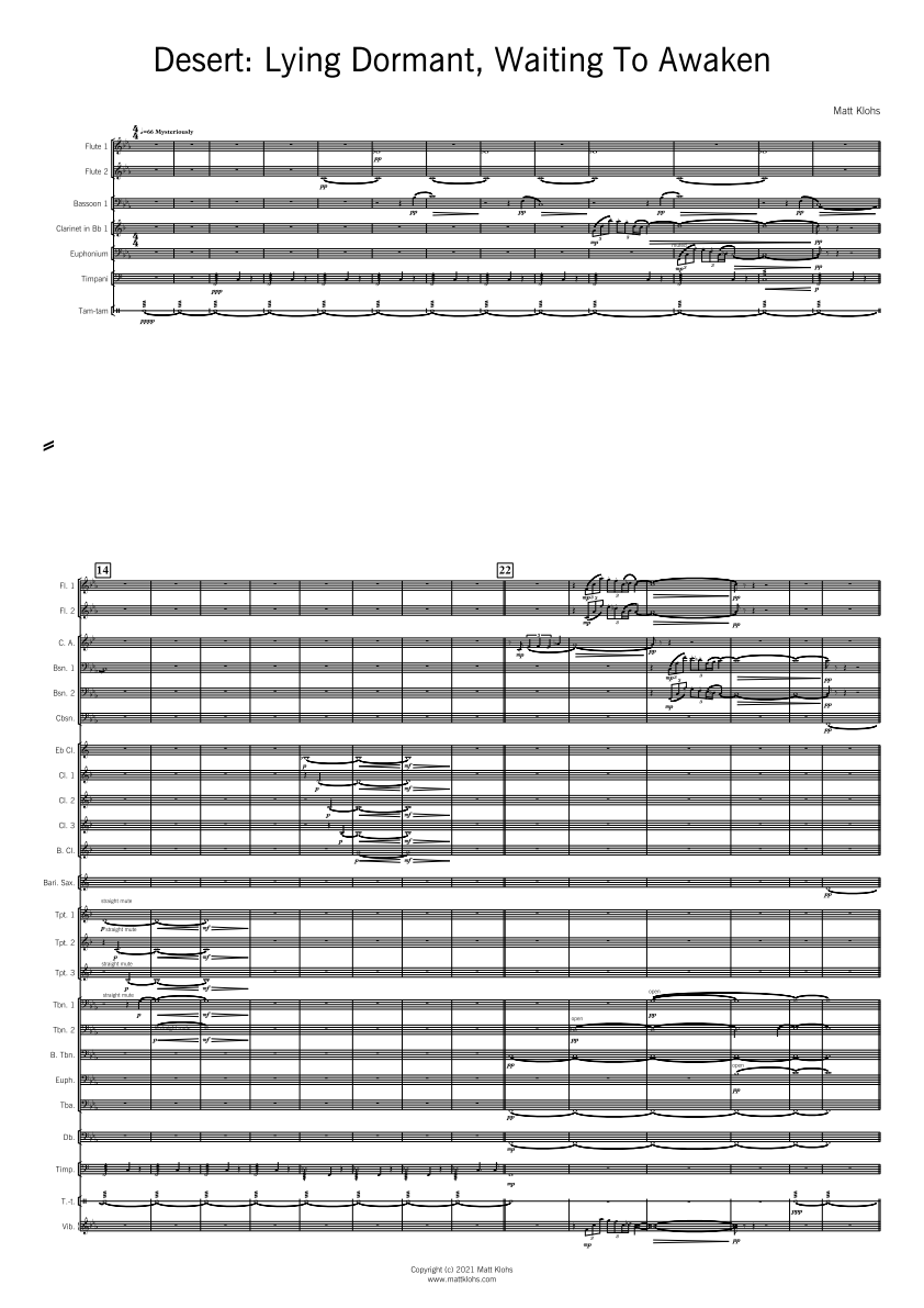 Grade 5 - Desert: Lying Dormant, Waiting To Awaken