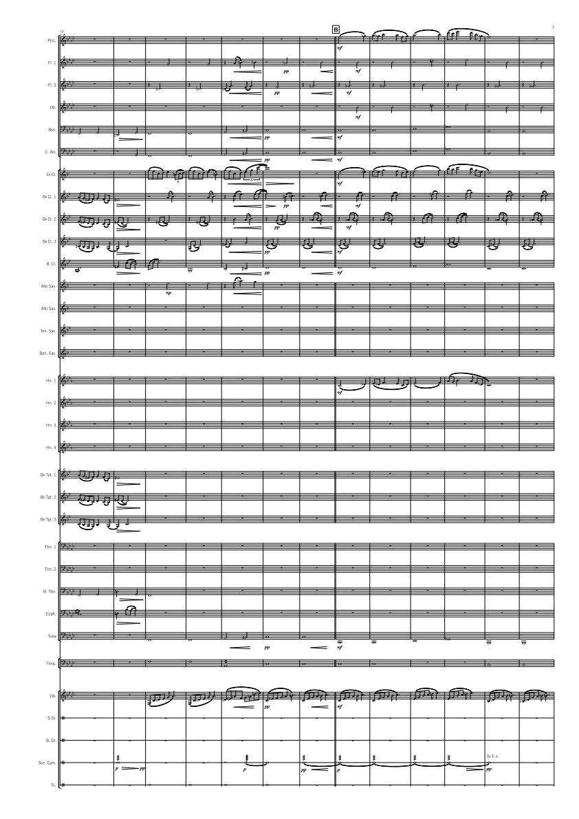 Grade 4 - Echidna (from "Monotremes")