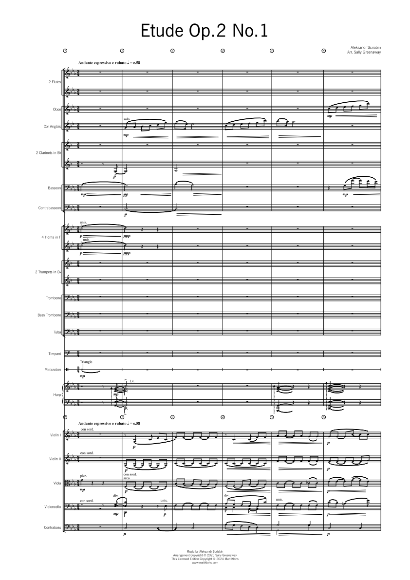 Symphony Orchestra - Advanced - Etude in C Sharp Minor Op.2 No.1