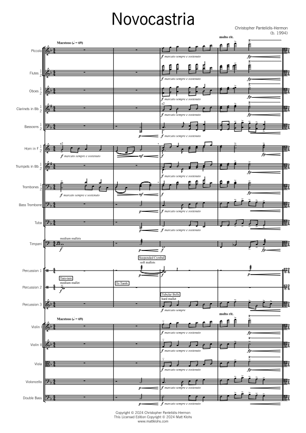 Symphony Orchestra - Advanced - Novocastria