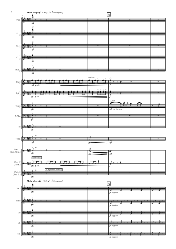 Symphony Orchestra - Advanced - Novocastria