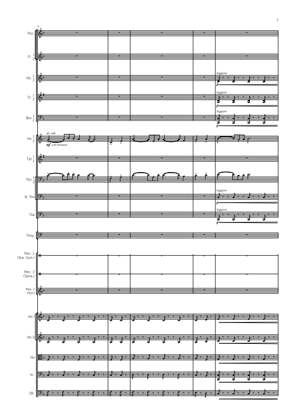 Symphony Orchestra - Advanced - Novocastria