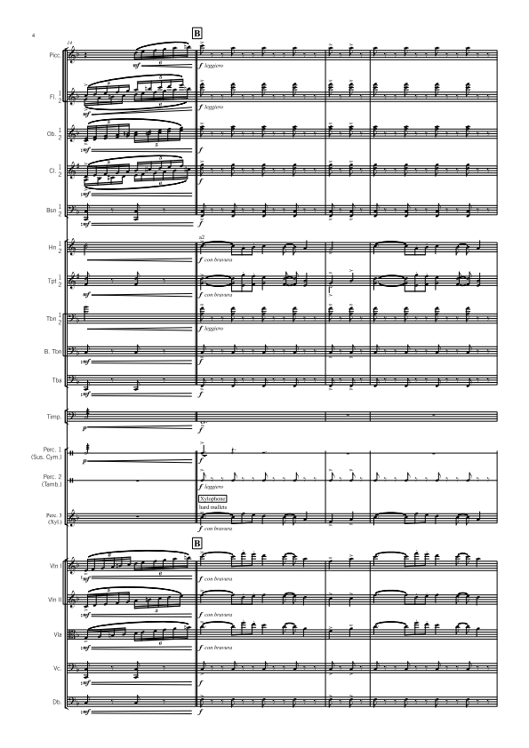 Symphony Orchestra - Advanced - Novocastria