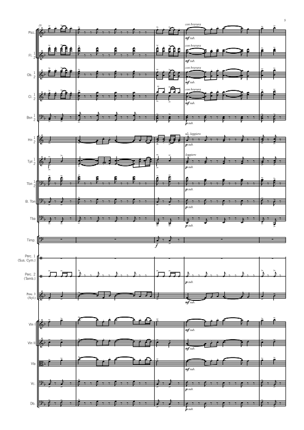 Symphony Orchestra - Advanced - Novocastria