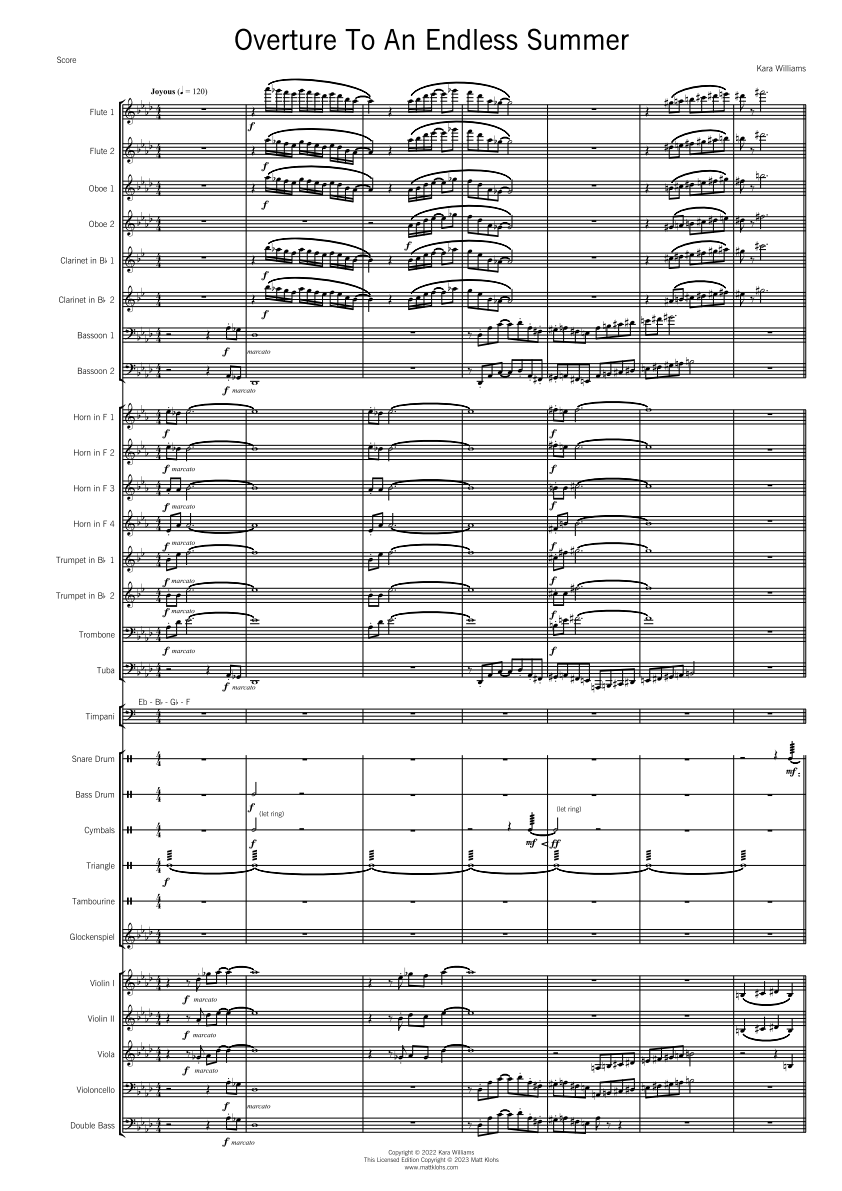 Symphony Orchestra - Advanced - Overture To An Endless Summer