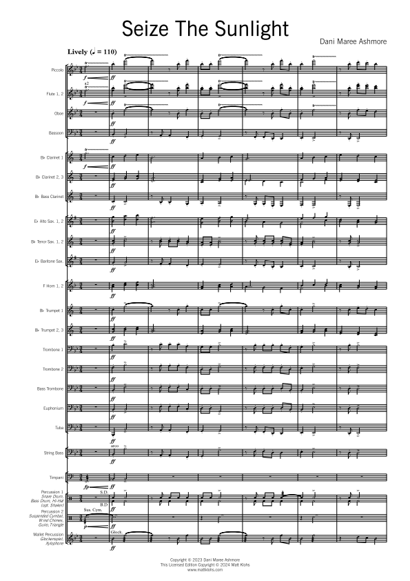 Grade 3 - Seize The Sunlight