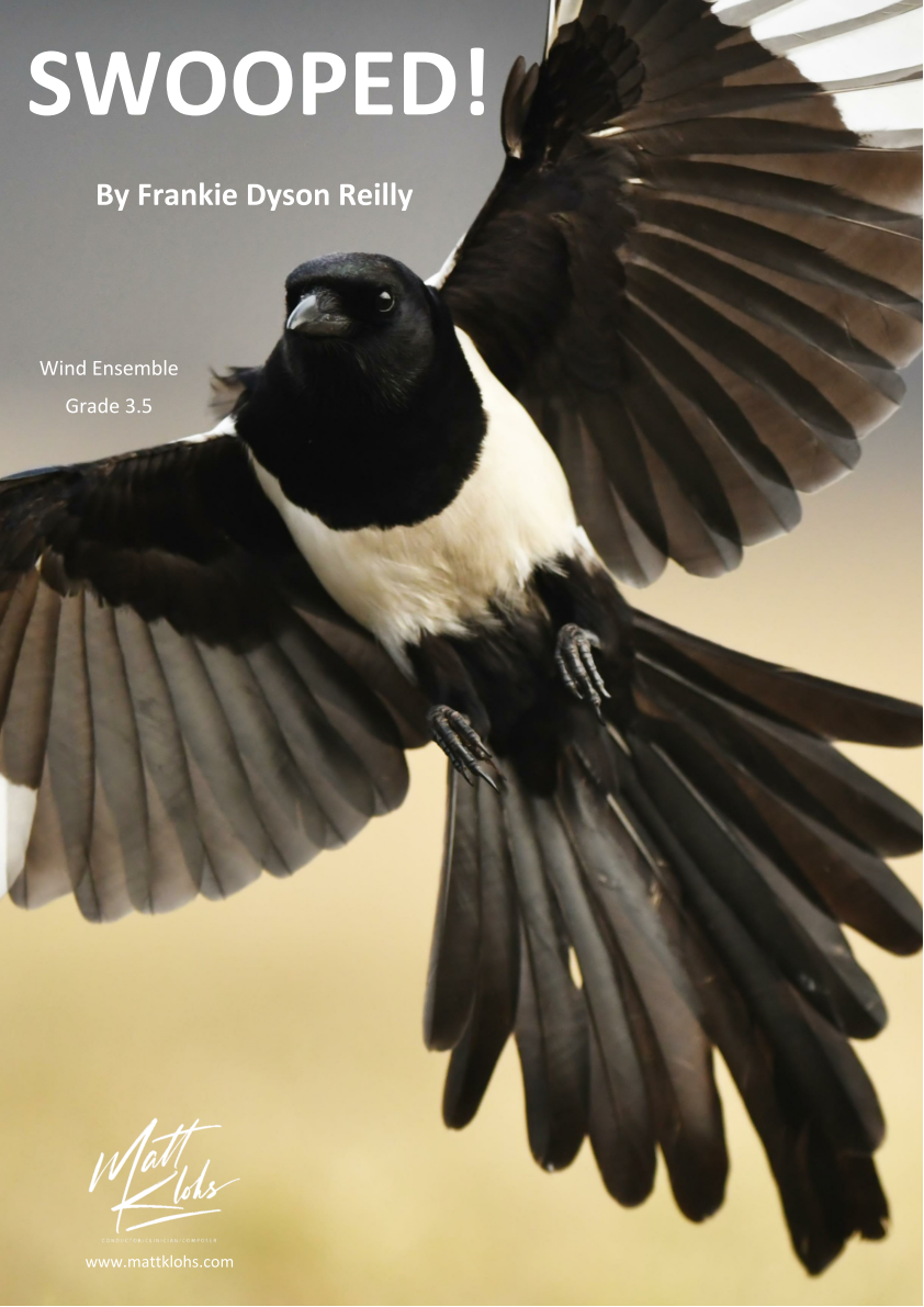 Grade 3.5 - Swooped!