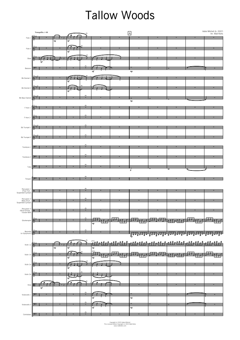 Symphony Orchestra - Intermediate - Tallow Woods