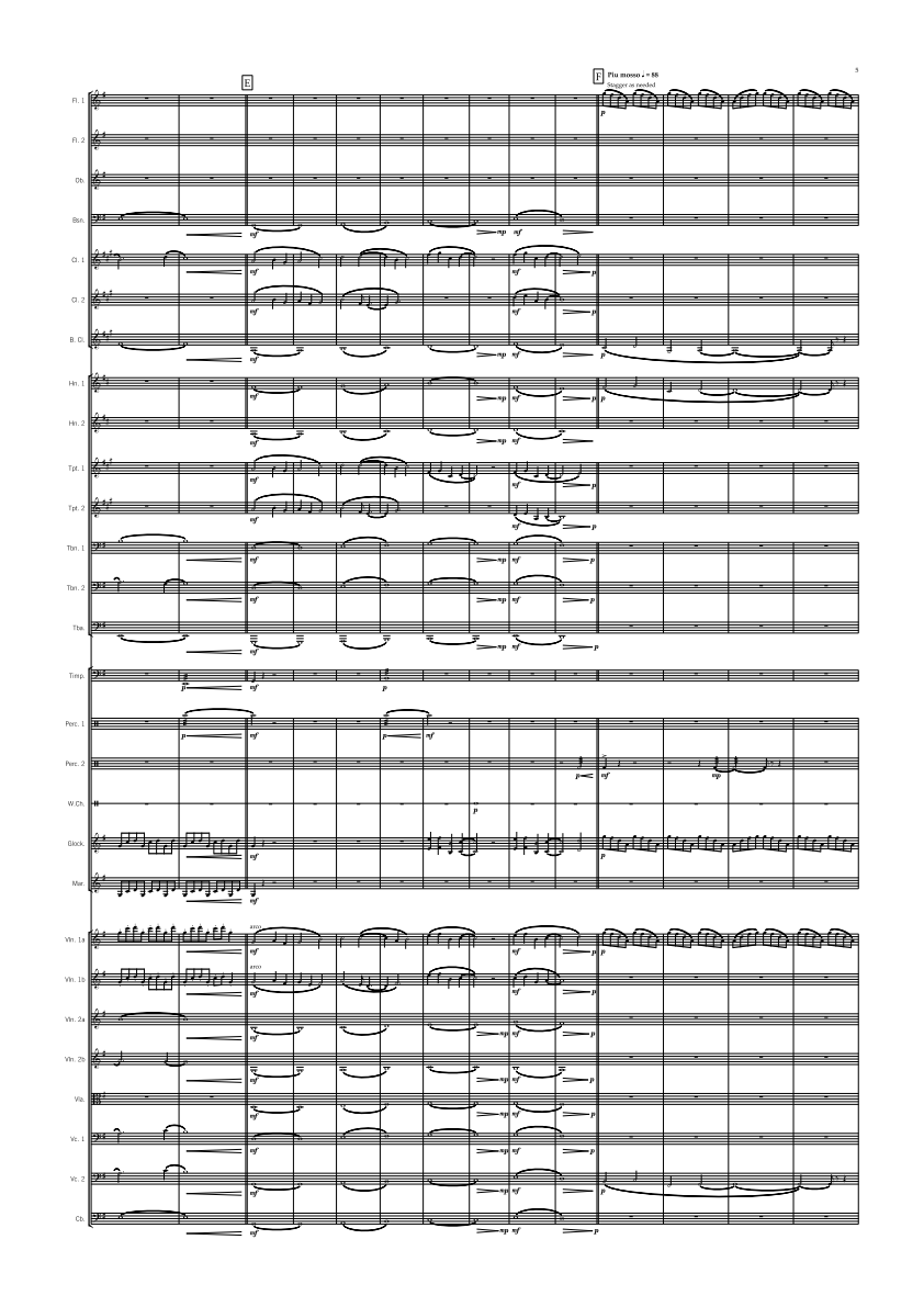 Symphony Orchestra - Intermediate - Tallow Woods