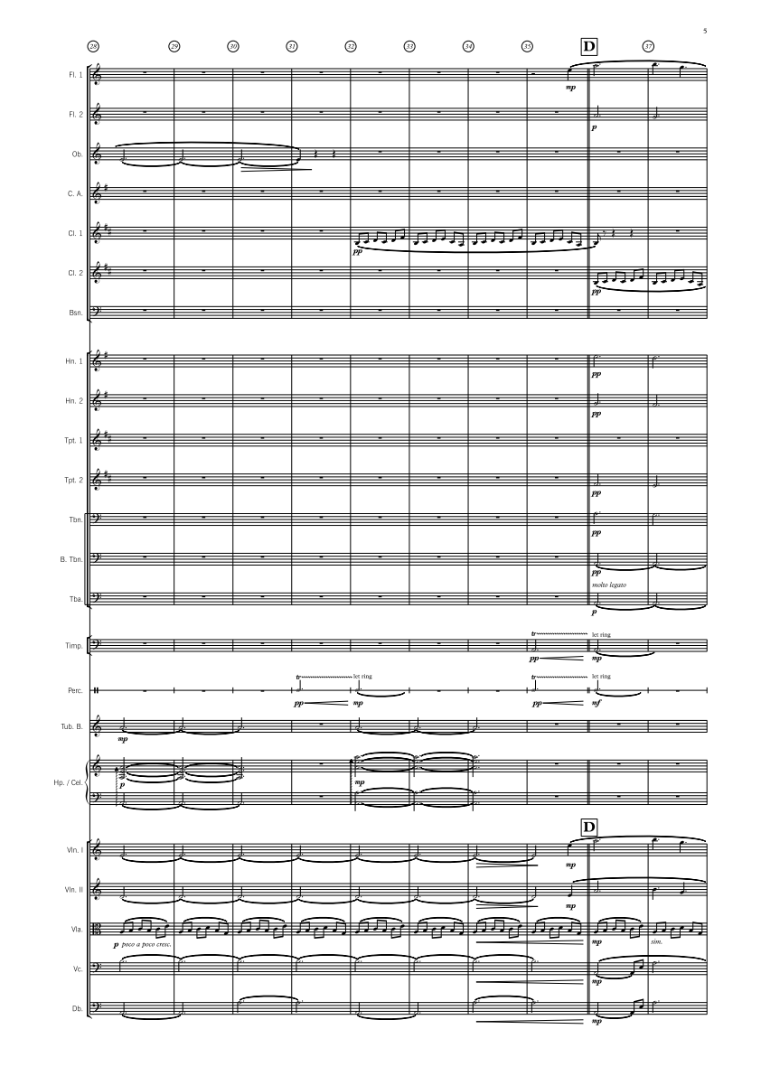 Symphony Orchestra - Advanced - The Blue Mountains