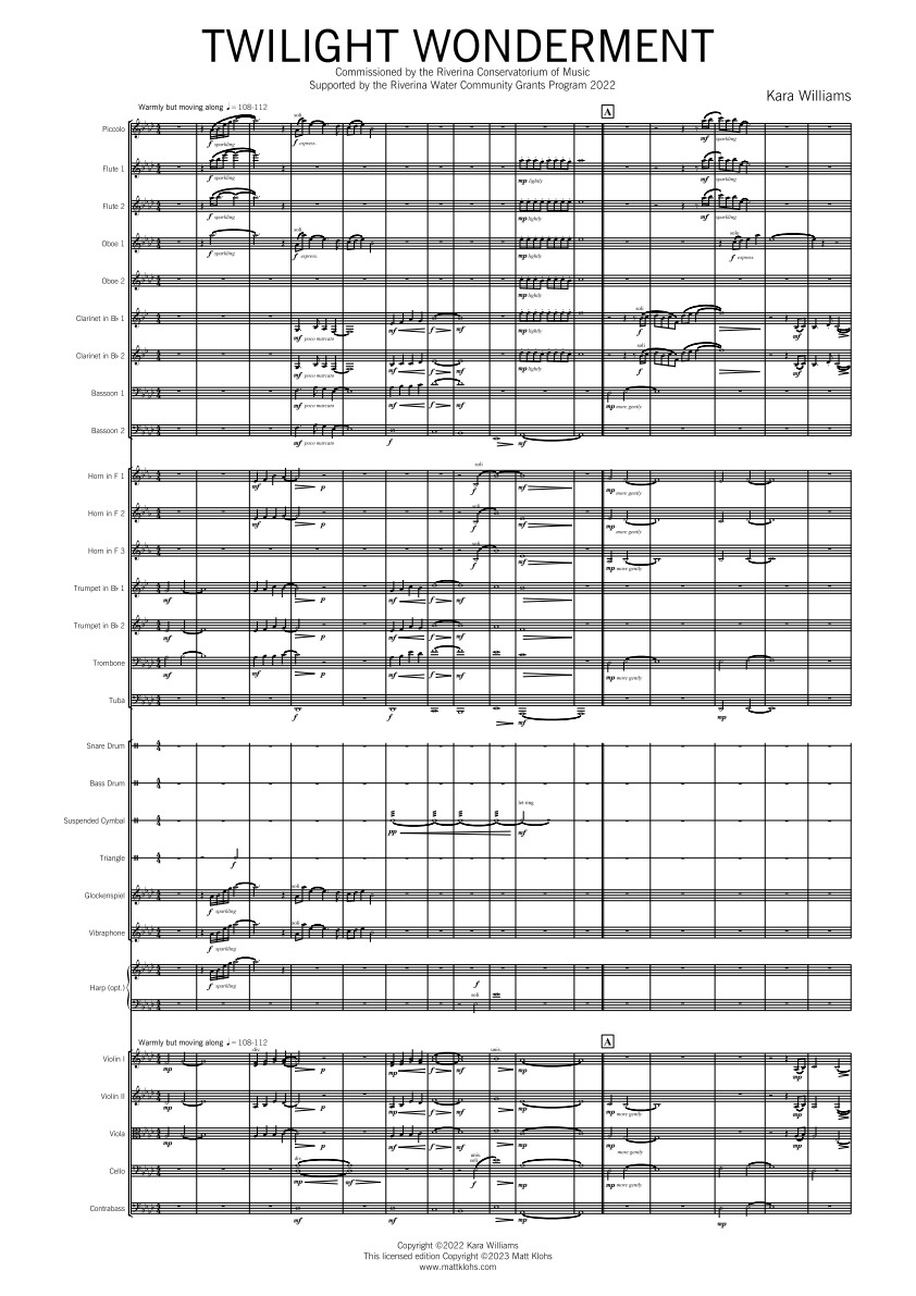 Symphony Orchestra - Advanced - Twilight Wonderment