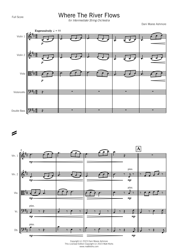 String Orchestra - Intermediate - Where The River Flows