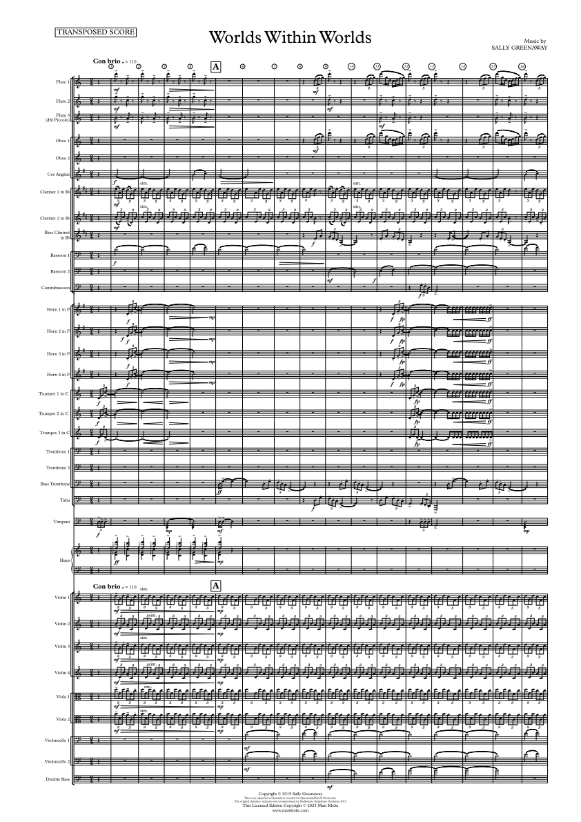 Symphony Orchestra - Professional - Worlds Within Worlds