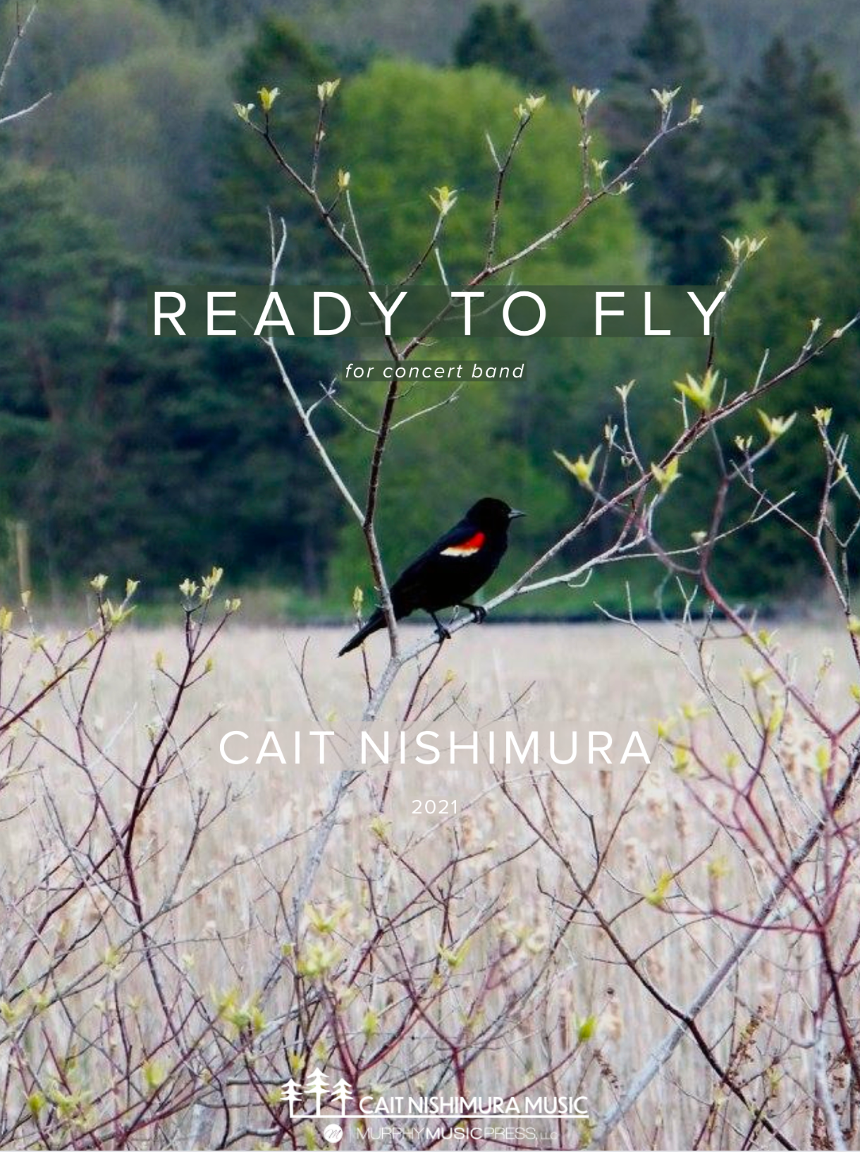 Grade 1 - Ready To Fly - Cait Nishimura
