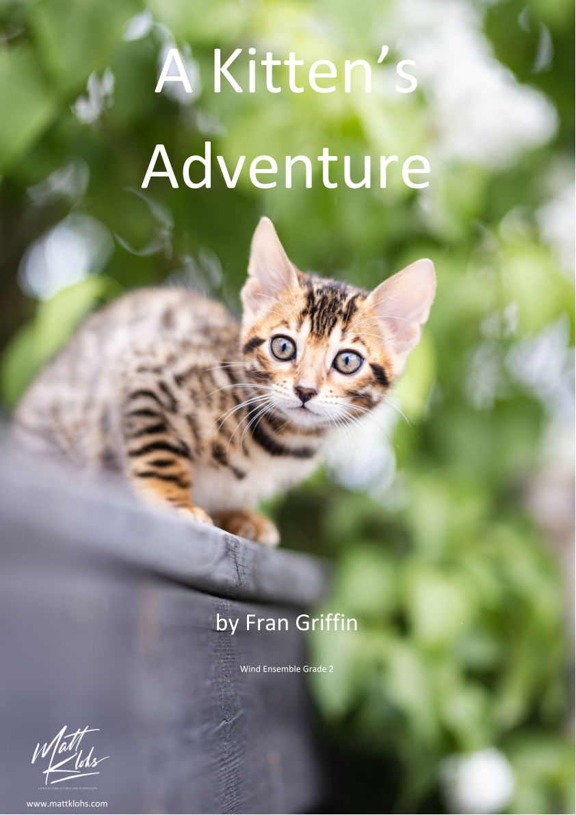 Grade 2 - A Kitten's Adventure
