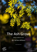 Load image into Gallery viewer, Grade 2 - The Ash Grove