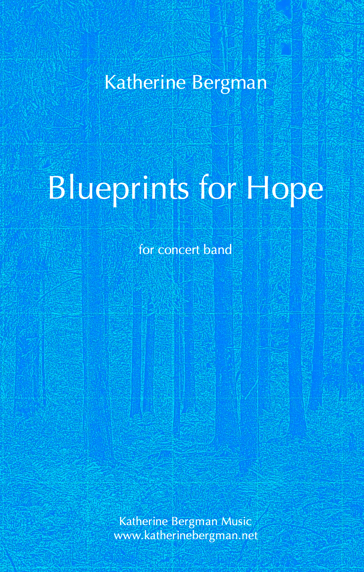 Grade 3 - Blueprints For Hope - Katherine Bergman