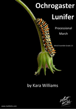 Load image into Gallery viewer, Grade 2.5 - Ochrogaster Lunifer (Processional March)