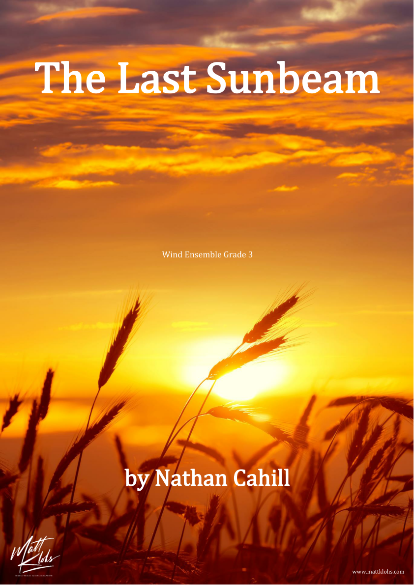 Grade 3 - The Last Sunbeam
